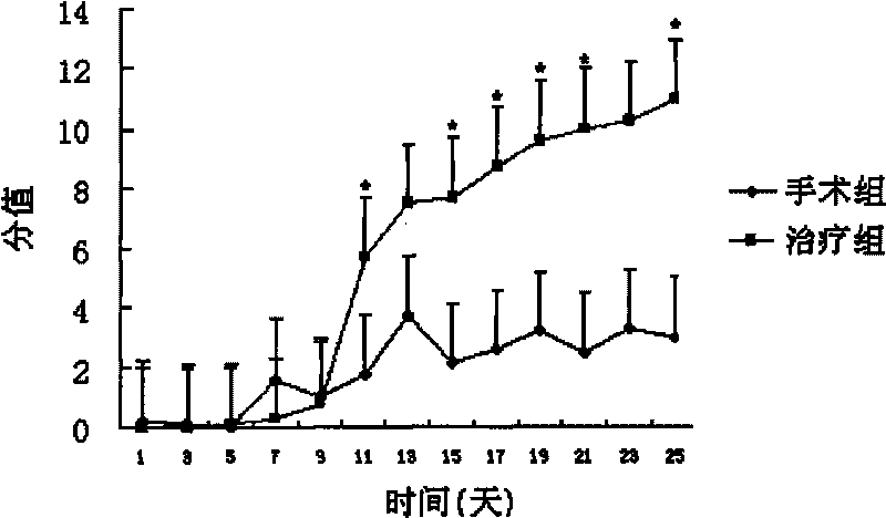 Application of amniotic epithelial cells and cell preparations thereof