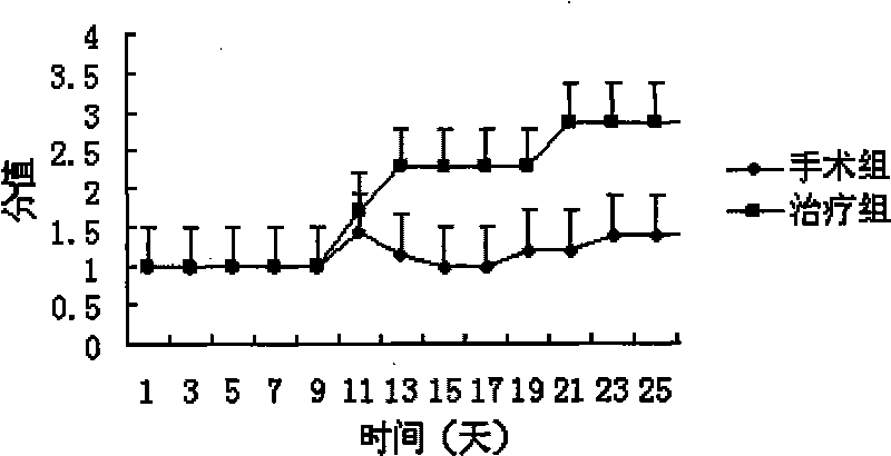 Application of amniotic epithelial cells and cell preparations thereof