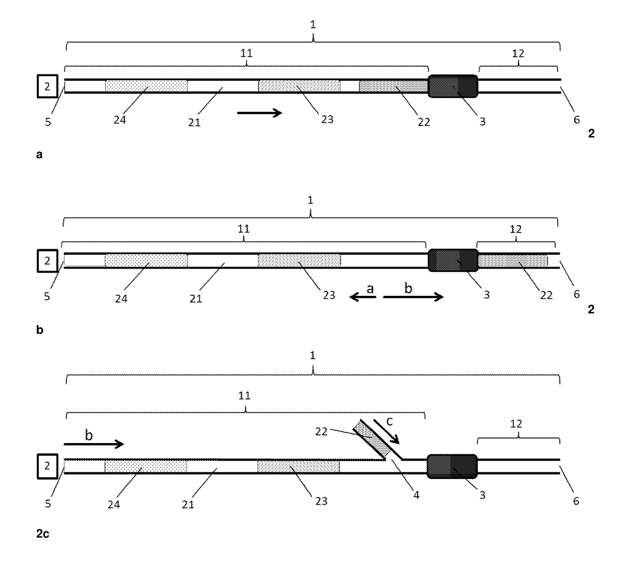 Method and System for Isolation of Nucleic Acids