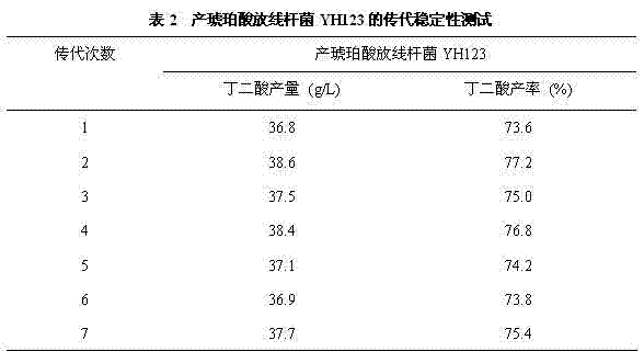 Actinobacillus succinogenes strain YH123 and application thereof