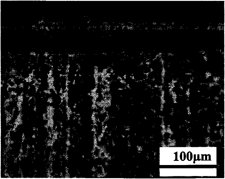 Low-temperature high-speed solid-powder chromium-impregnation method under action of direct current field