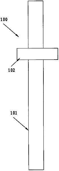 Lug, rolled lithium ion cell and soft-package rolled lithium ion battery