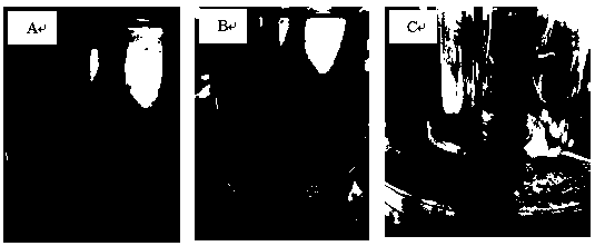 A method for rapid separation of algae liquid in microalgae treatment wastewater