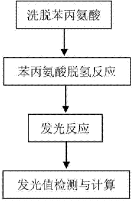 Quantitative detection kit and quantitative detection method for phenylalanine