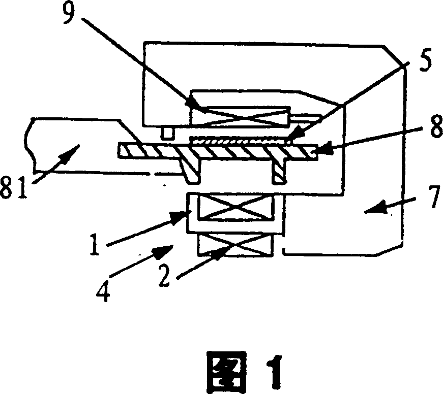 Suspended magnetic iron structure of magnetic suspension vehicle and its production mehtod