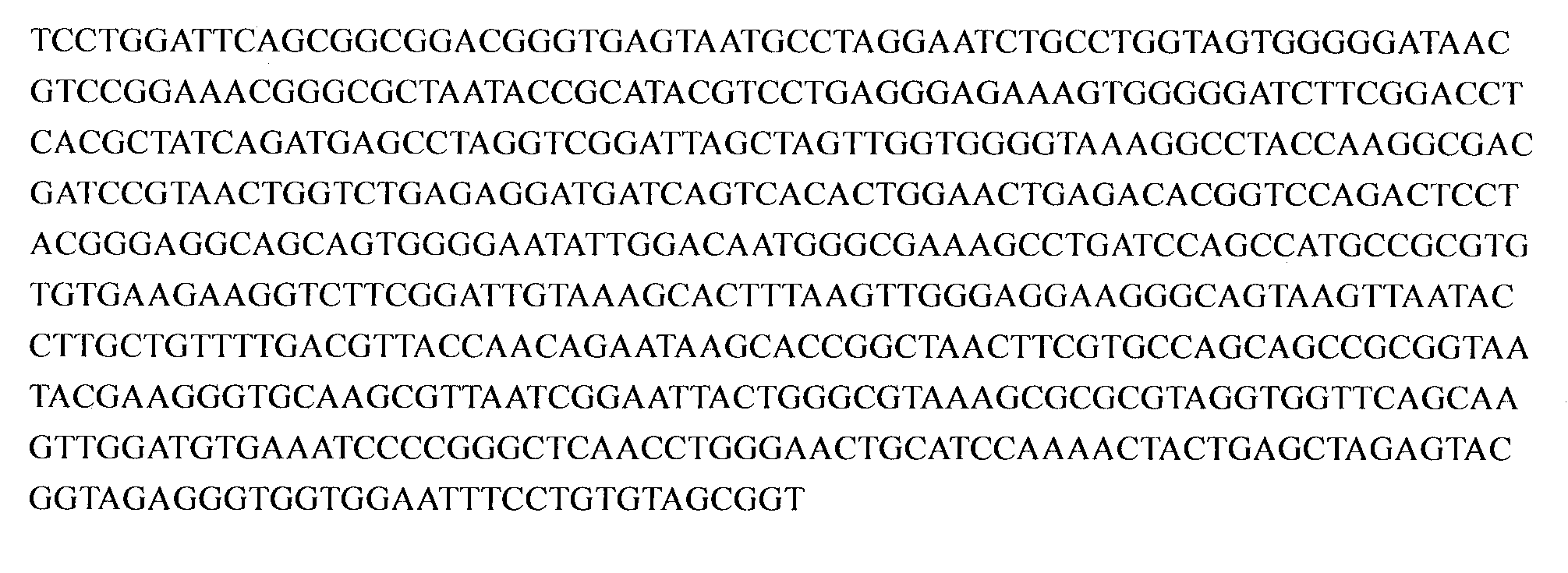 Pseudomonas aeruginosa capable of secreting fluorescent iron carrier and application thereof