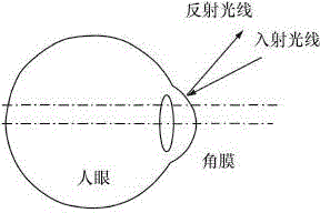 System for eliminating eye ground camera stray light