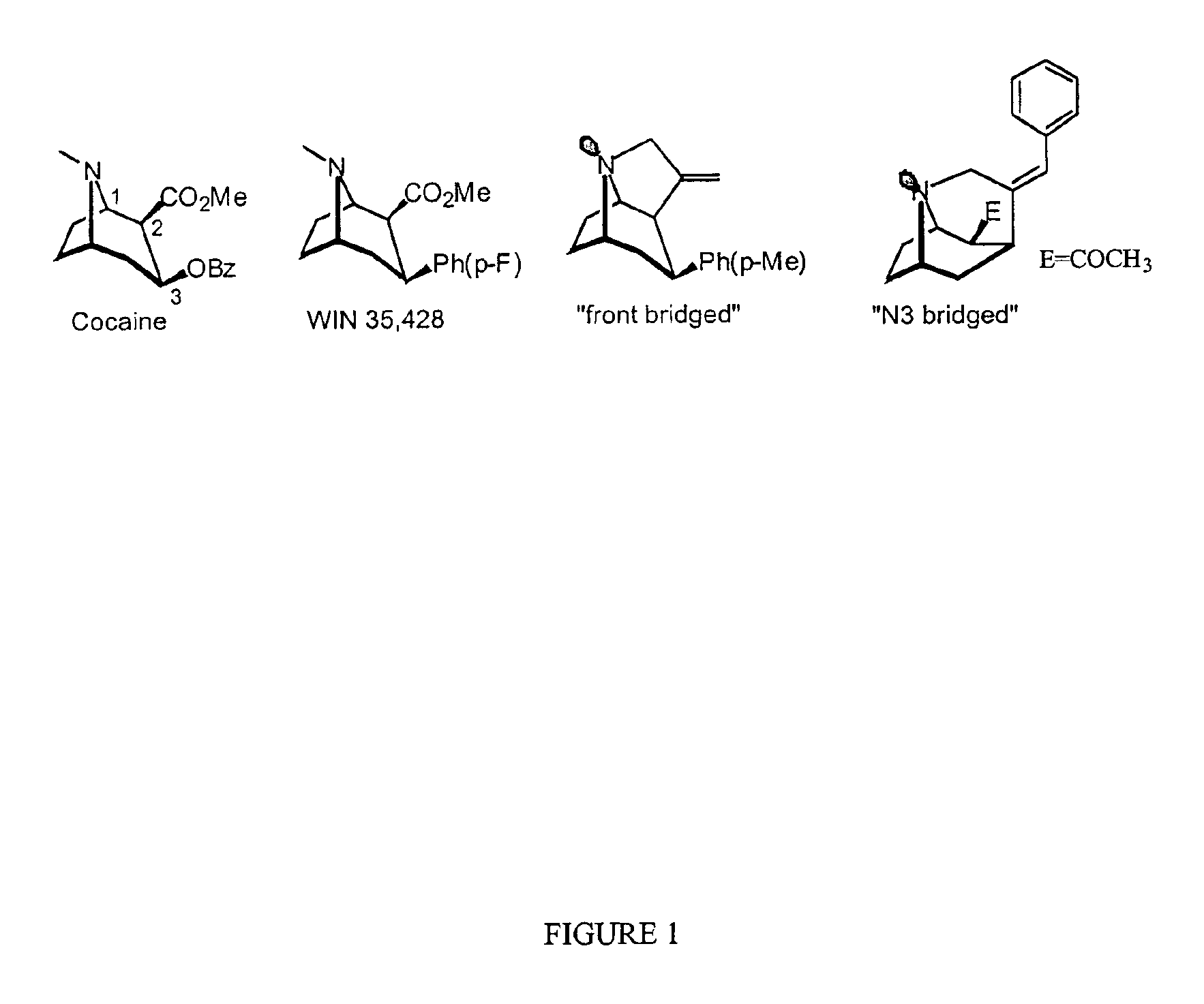 Tropane analogs