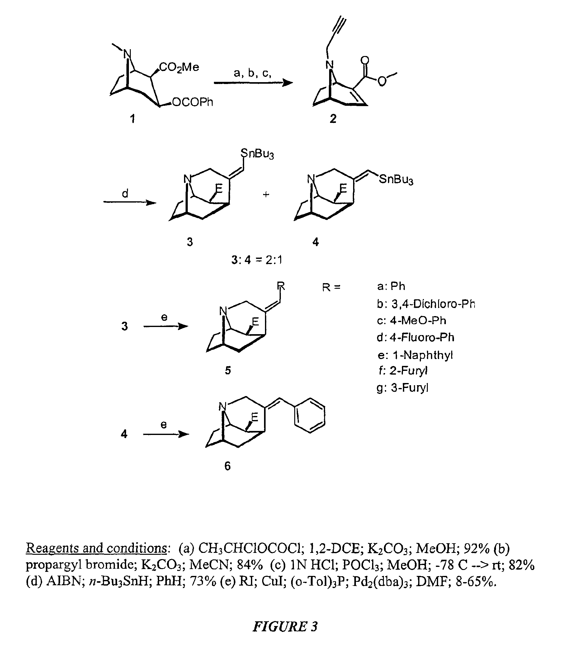 Tropane analogs