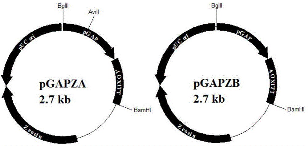 Method for improving expression amount of secretory foreign protein in pichia pastoris