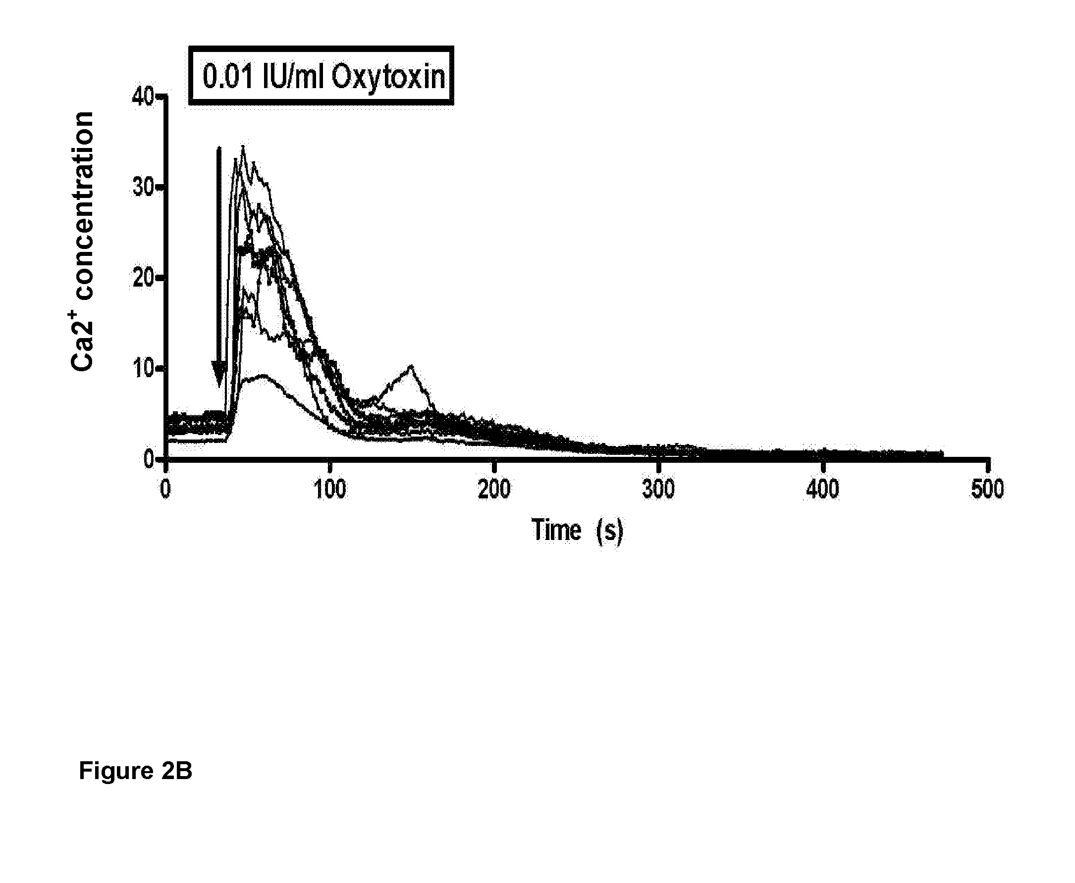 Method for treatment of labor arrest