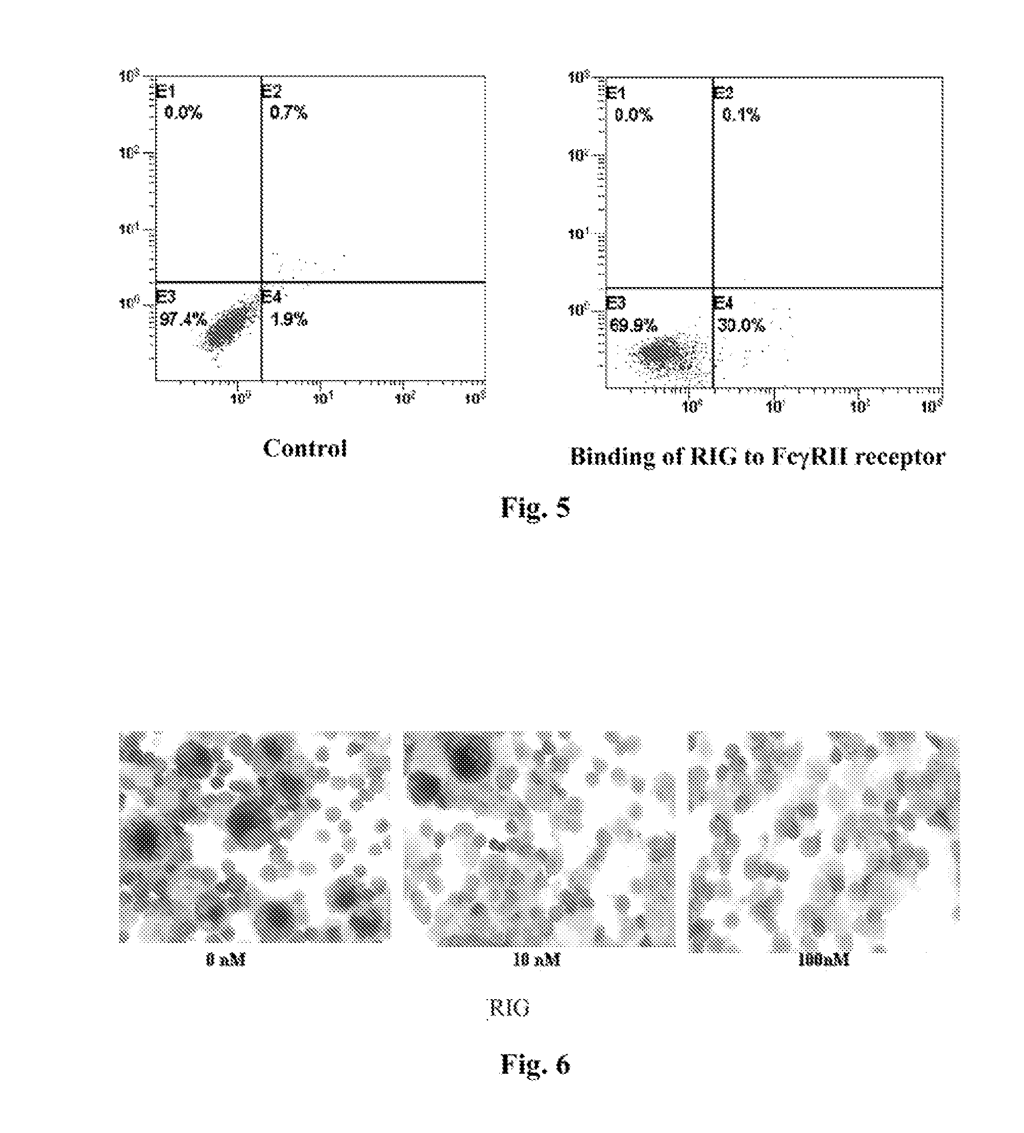 Fusion Protein Inhibiting Osteoclast Formation, Preparation Method and Medicine Compositions Thereof