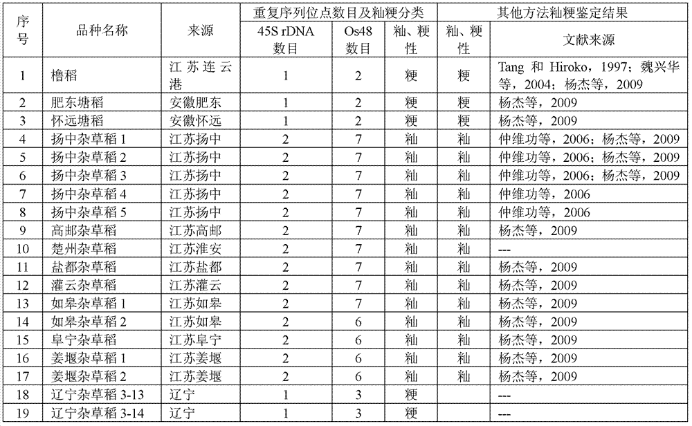 Method for differentiating indica japonica of weedy rice through two repeated DNA (Deoxyribonucleic Acid) sequences