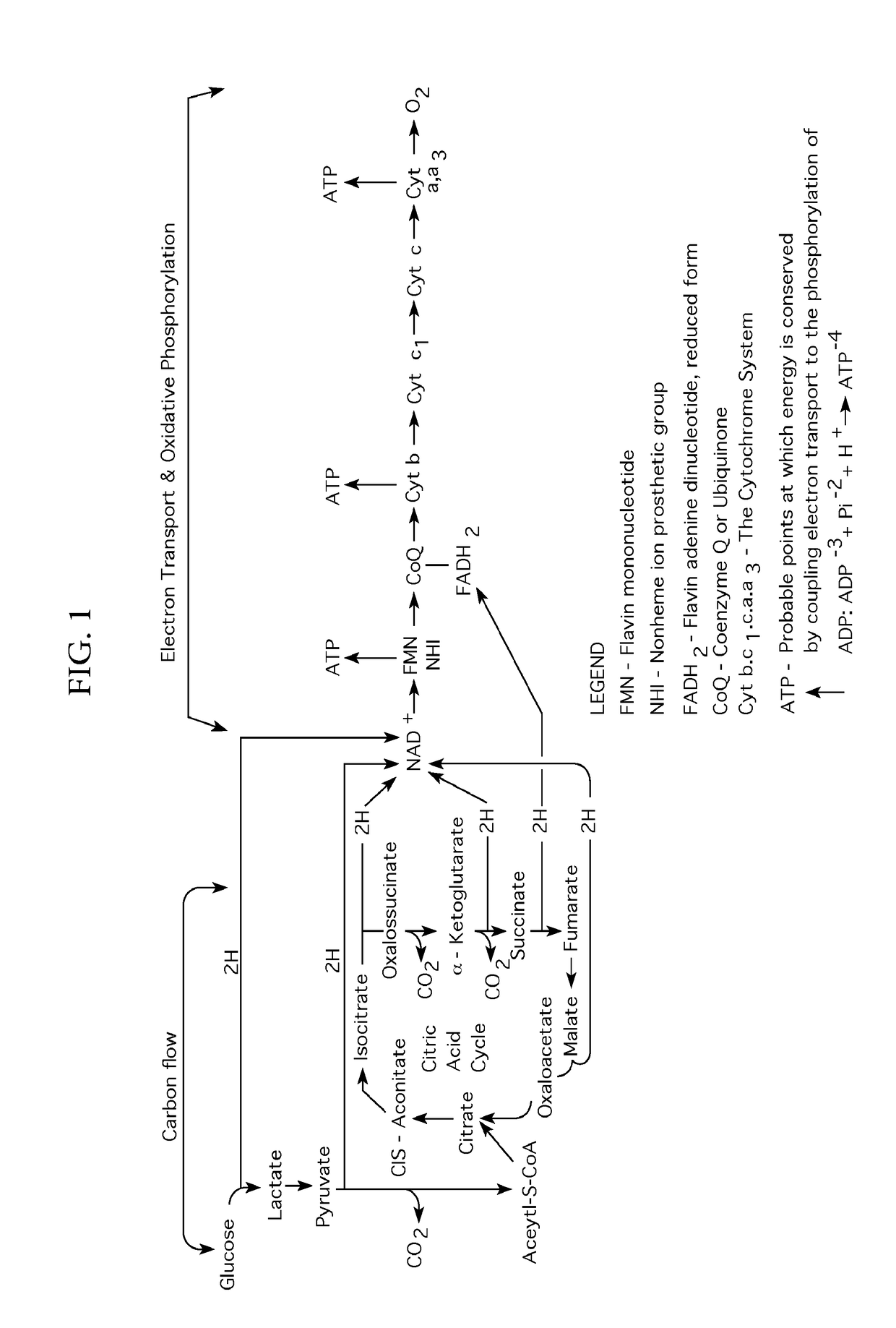 Bio-energy power system