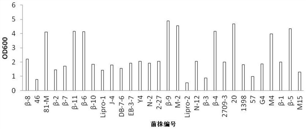 Bacillus subtilis M-15 strain for degrading gossypol, fungicide and application