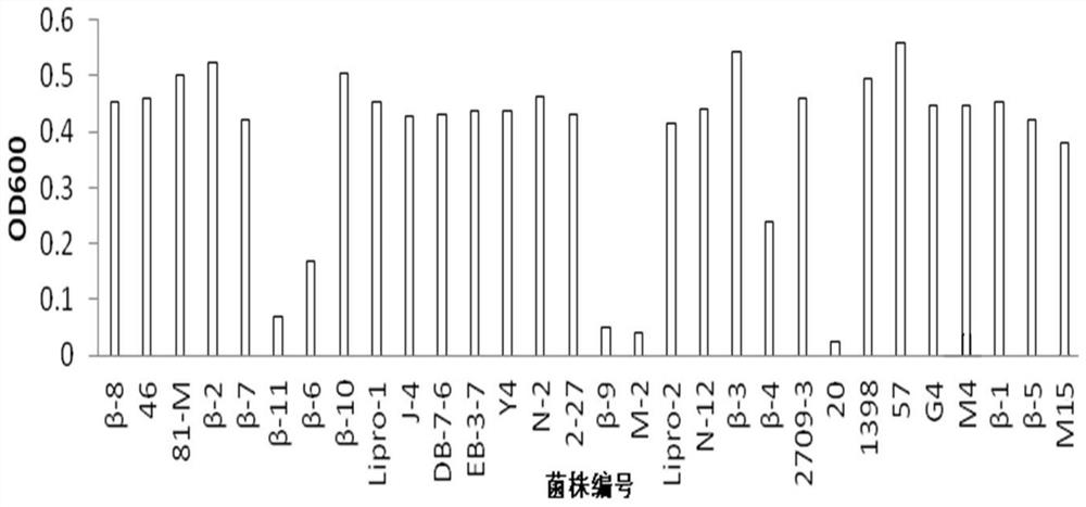 Bacillus subtilis M-15 strain for degrading gossypol, fungicide and application