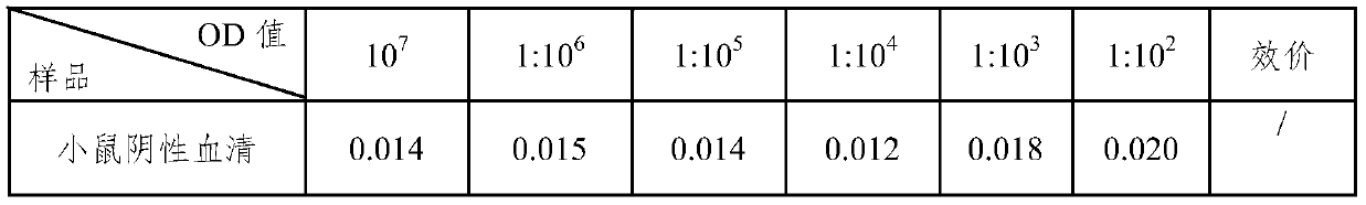 A kind of poliovirus type Ⅱ monoclonal antibody and its application