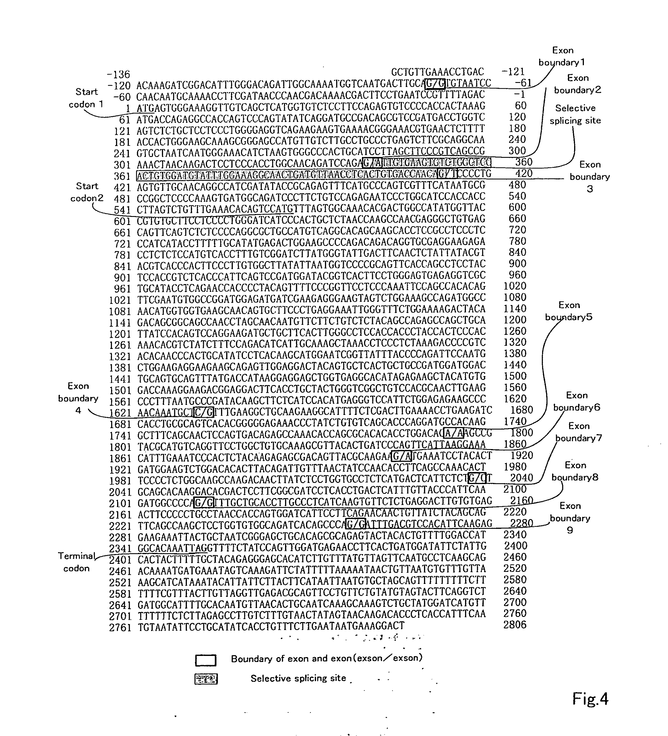 Polycystic kidney disease-related gene and use thereof