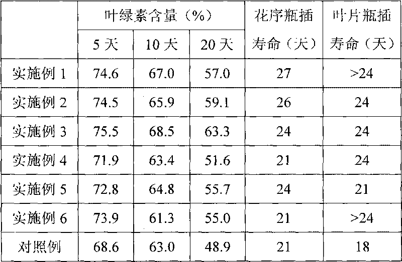 Cut-flower chrysanthemum antistaling agent and refreshing processing method