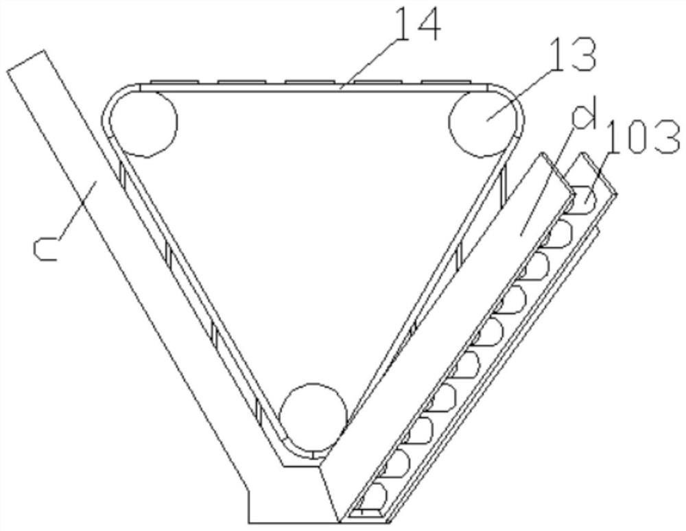 A feeding device for fruit sorting