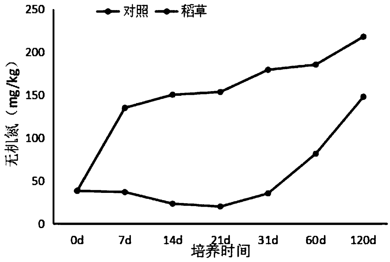 High organic matter tobacco field soil flue-cured tobacco nitrogen controlling and quality improving method