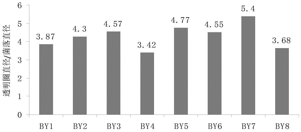 Bacillus subtilis BY7 and application thereof in degrading residual feeds and ammonia nitrogen