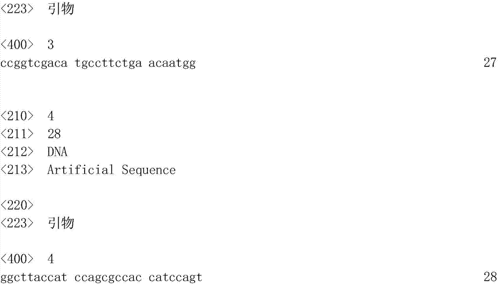 Method for carrying out directional evolution on gene promoter