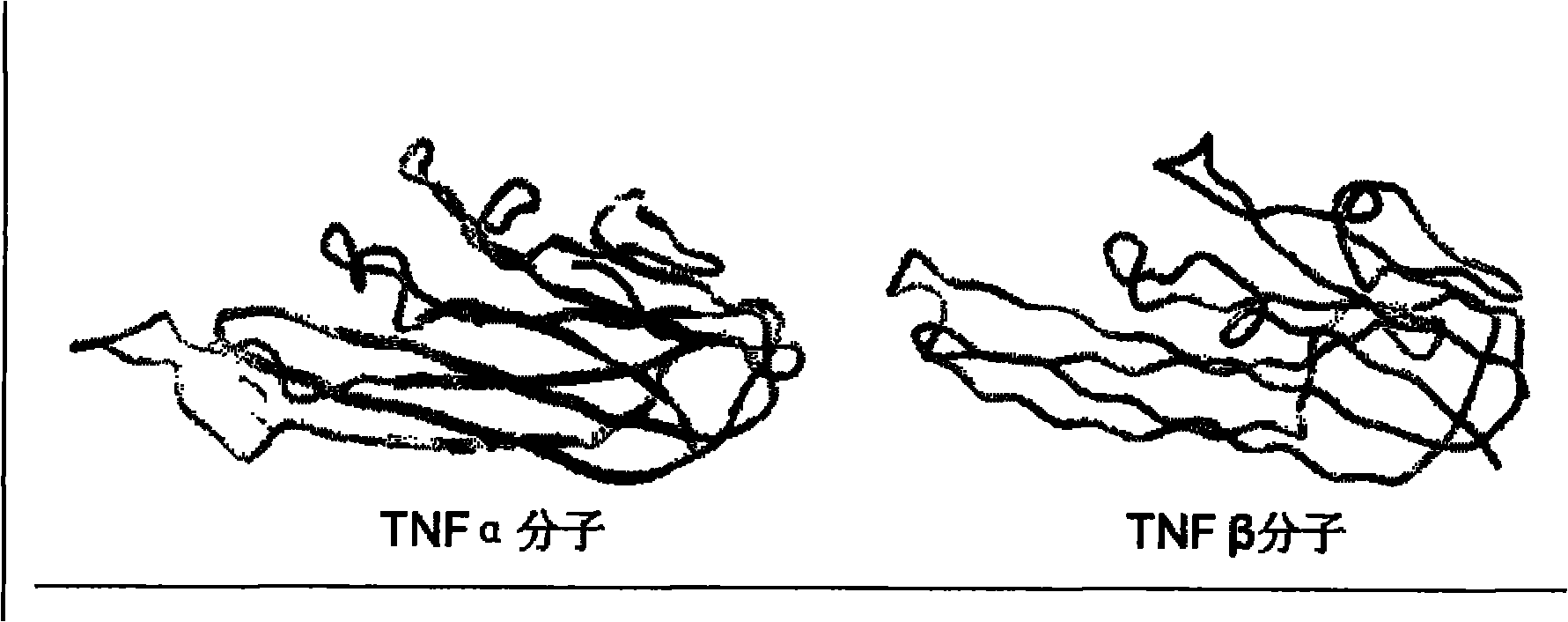 Application of substituted aryl hydrazone compound serving as anti-tumor necrosis factor inhibitor medicament