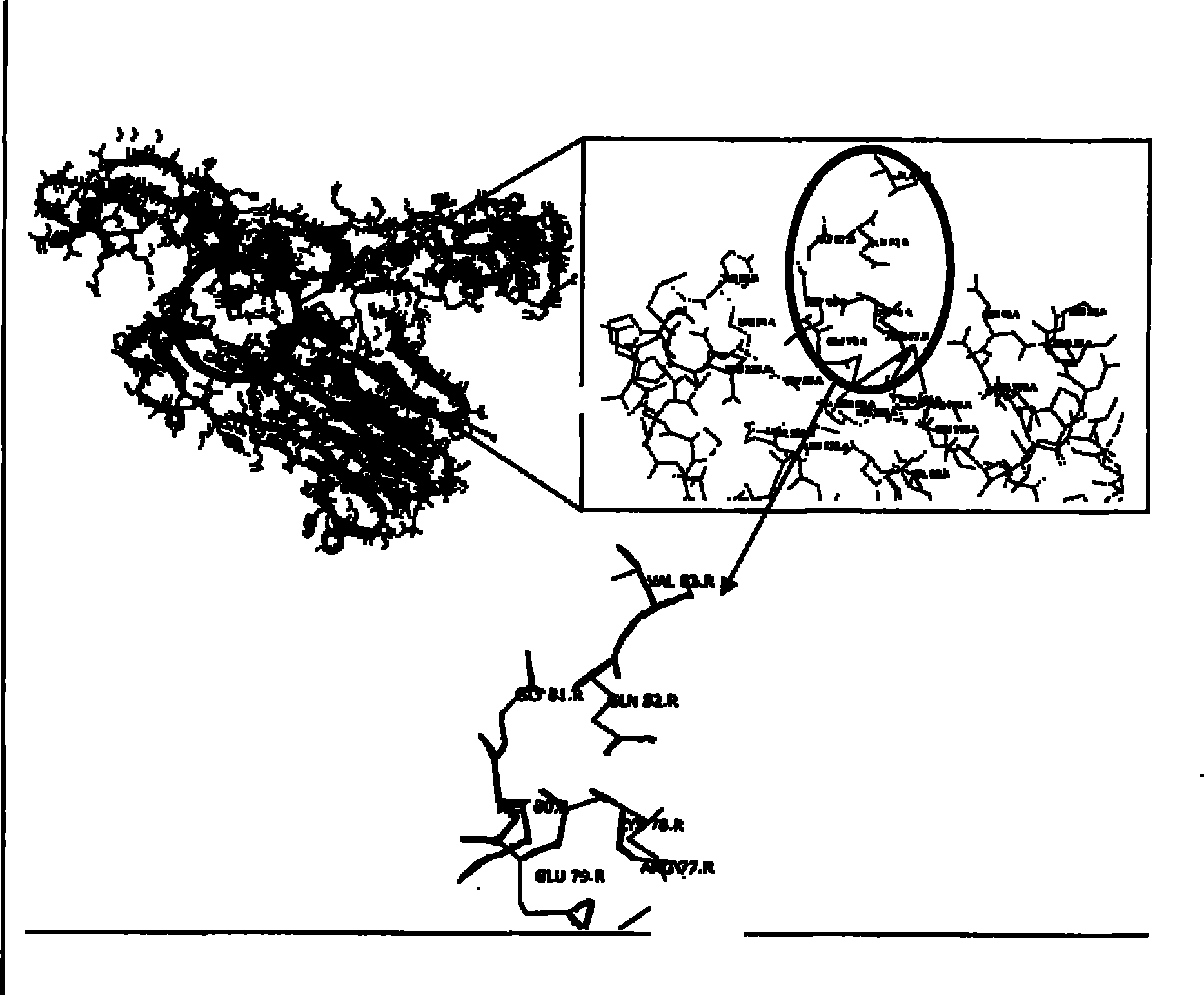 Application of substituted aryl hydrazone compound serving as anti-tumor necrosis factor inhibitor medicament