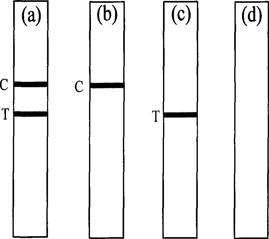 Production and use of test paper for fast detecting deoxynivalenol in cereal