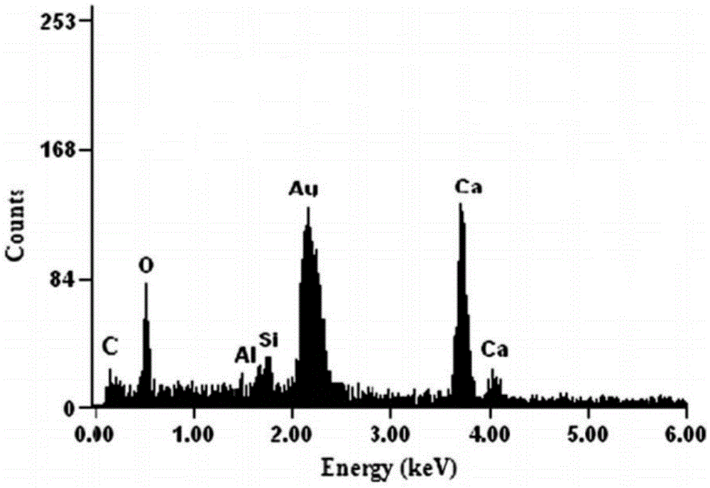 Microbial composite additive used for cement-based material cracking self-repairing and applications thereof