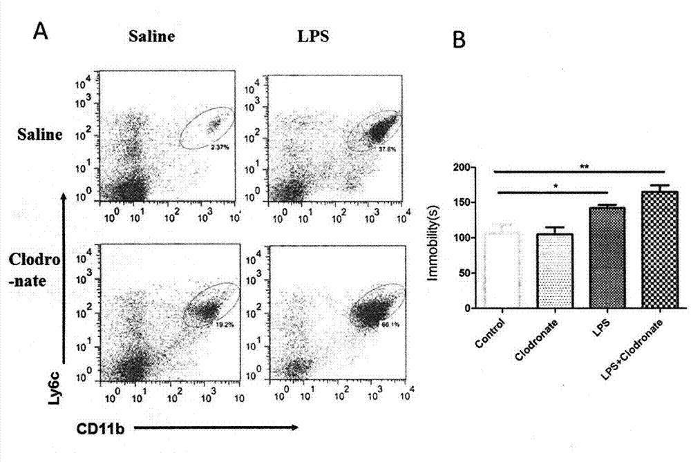 Application of mononuclear cell antibody in treating inflammation-related tristimania