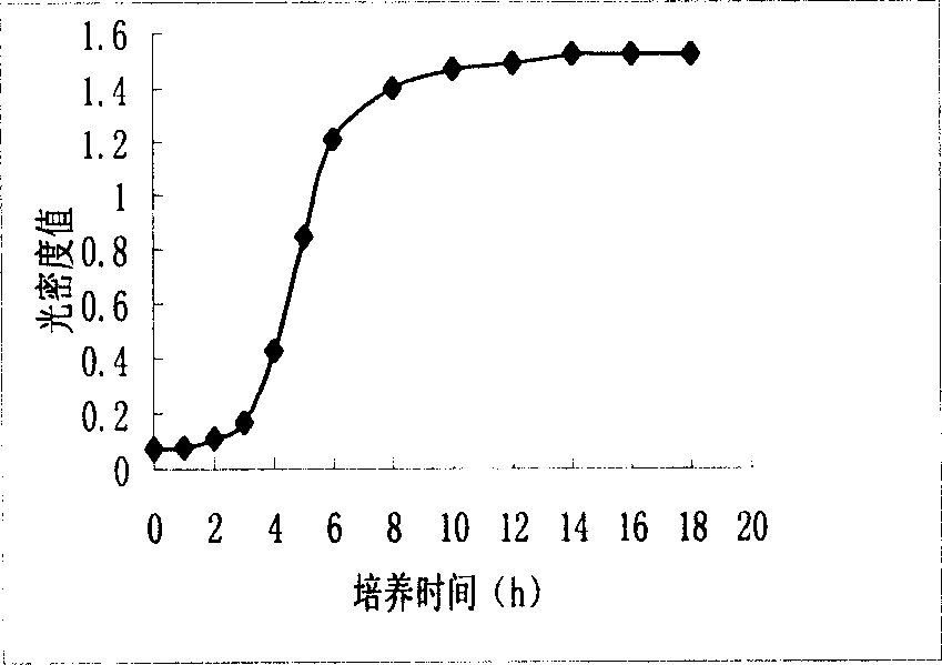 Sporolactobacillaceae and produced preparation of living fungus thereof