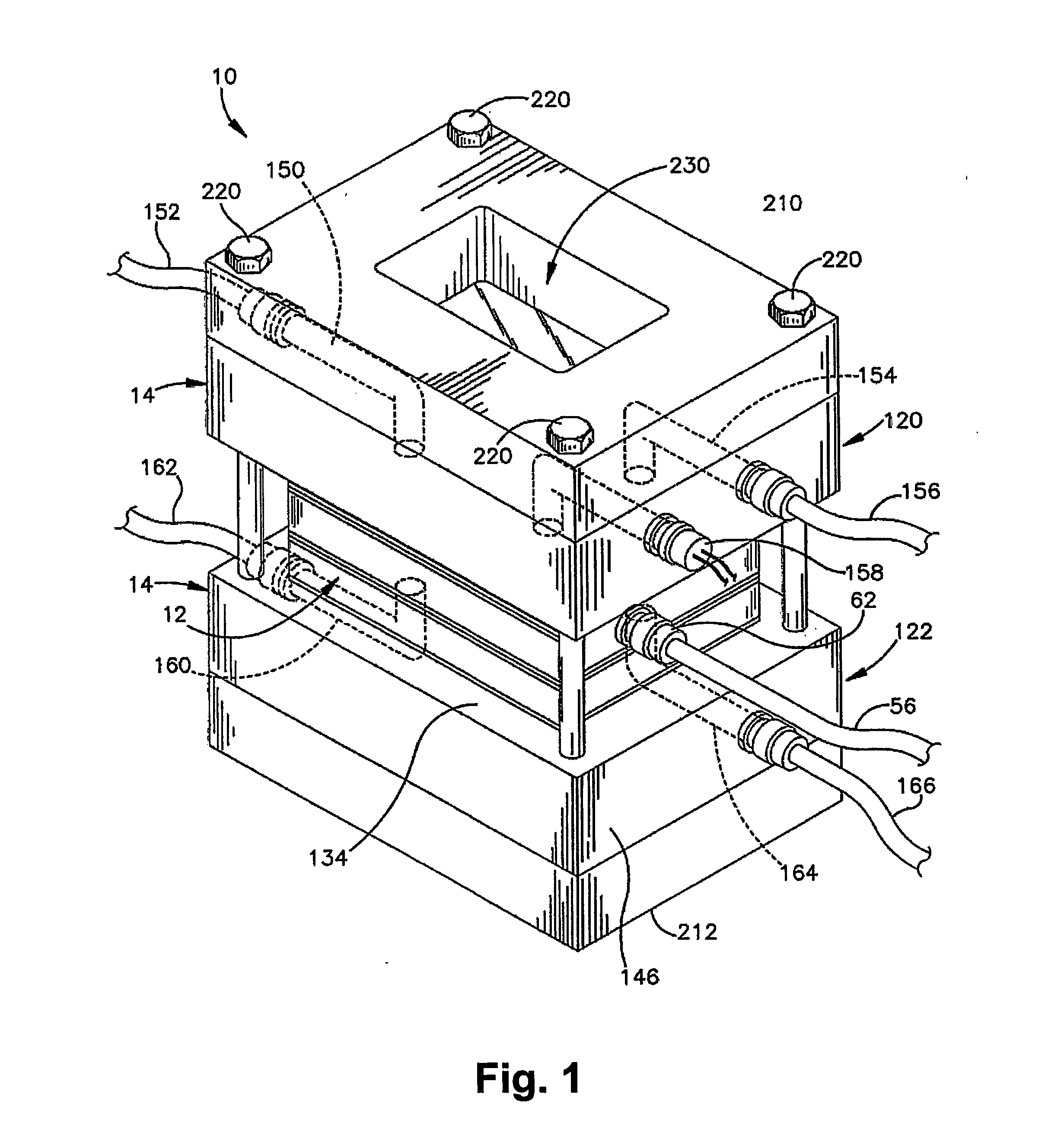 Apparatus and method for tissue engineering