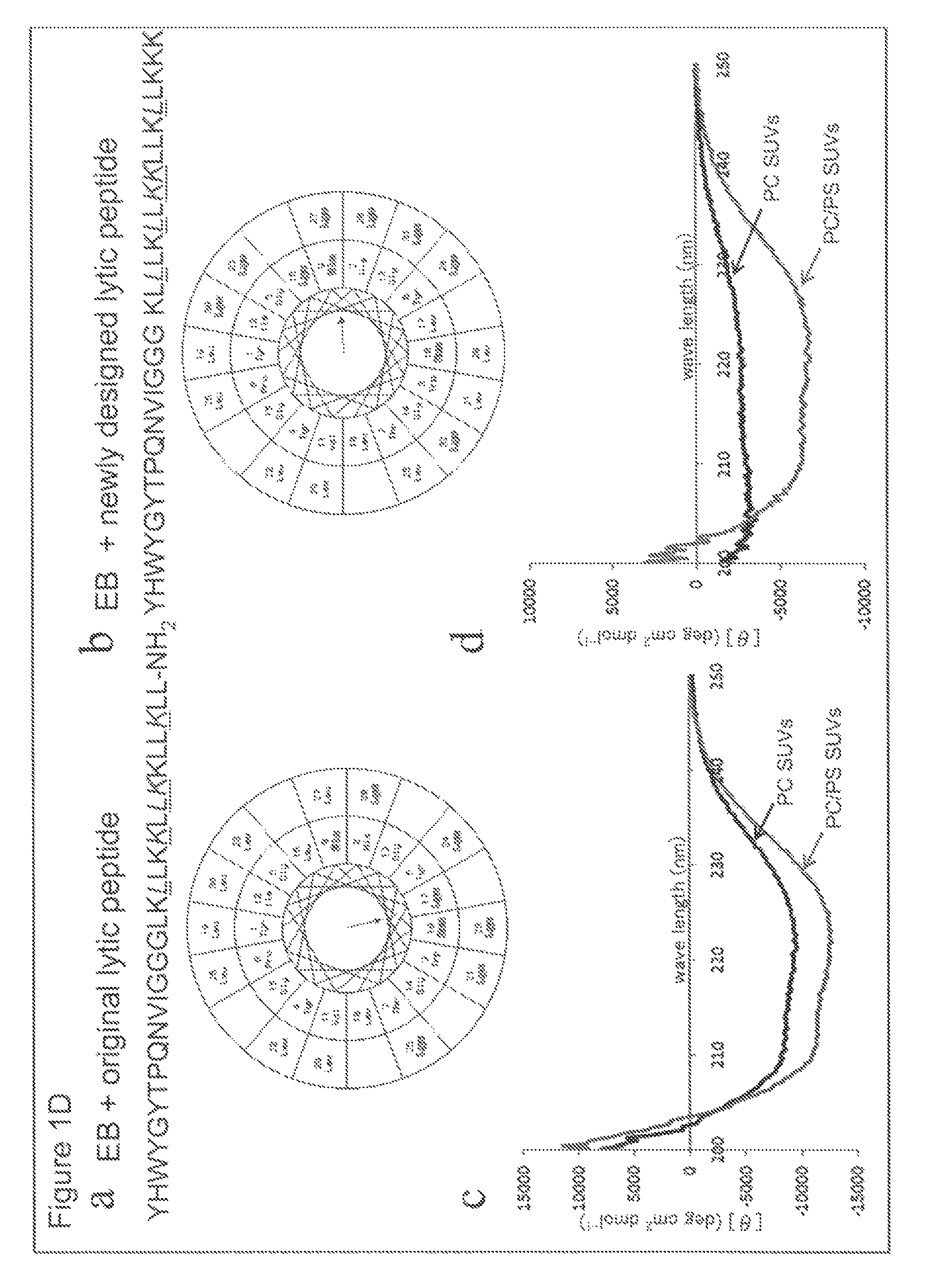 Selective anticancer chimeric peptide comprising an EGF receptor-binding peptide and a cytotoxic peptide