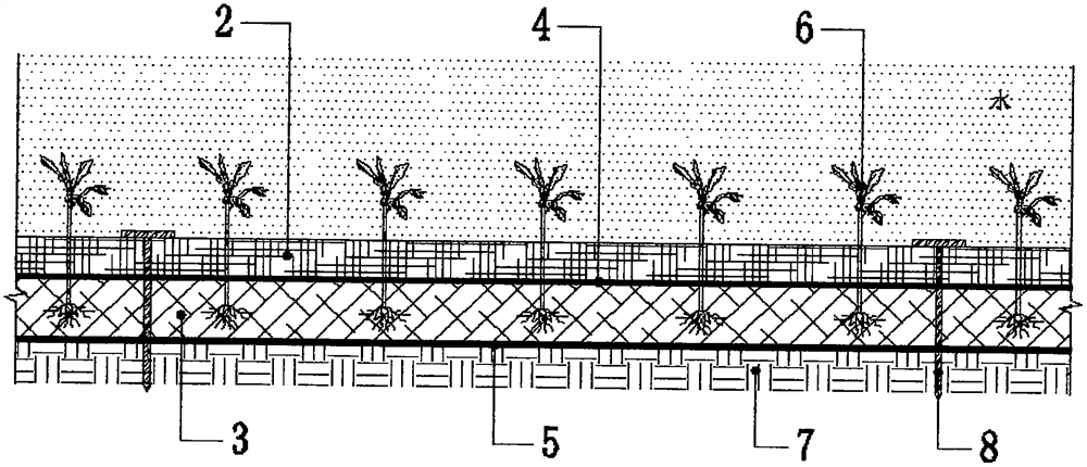 Novel artificial ecological riverbed and construction method