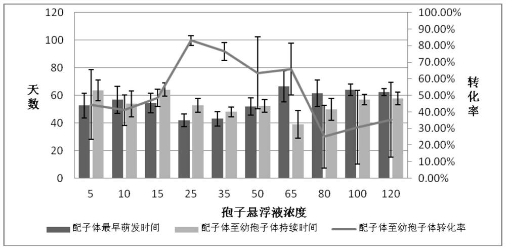 Spore propagation method of rare and endangered adiantum reniforme