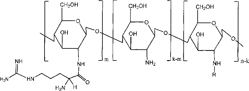 Novel chitosan derivative simulating the structure of cell-penetrating peptide