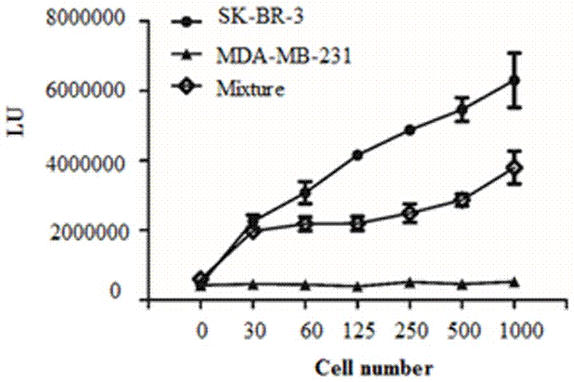 Plasmid for detecting and screening circulating tumor cells and detecting and screening method using same