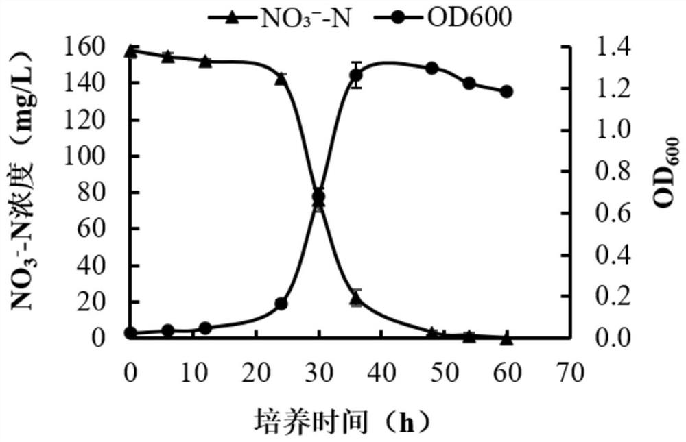 Bacillus pumilus with a denitrification function and application of bacillus pumilus