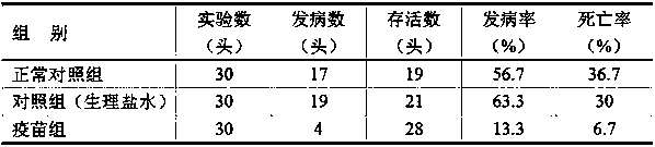 A Strain of Mycoplasma bovis and Its Application