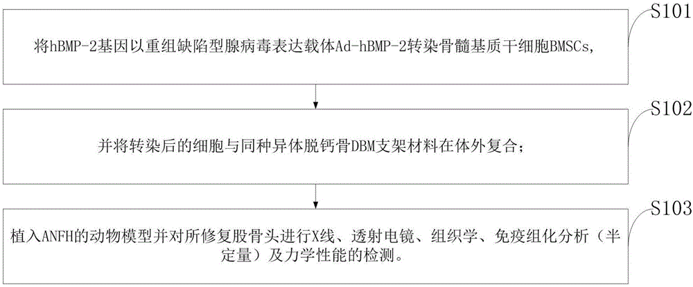 Detection method of adenovirus-mediated gene transfection autologous bone marrow mesenchymal stem cells