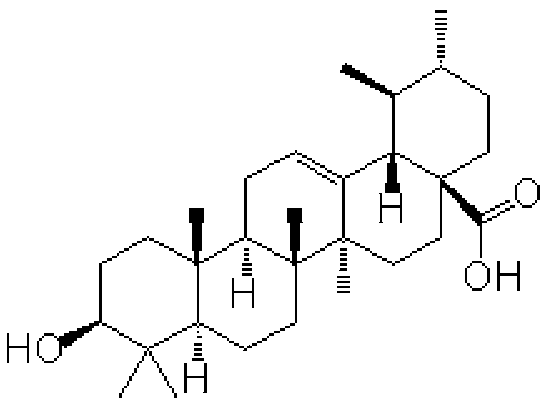 Extraction and purification method of triterpene acid in seabuckthorns, triterpene acid, triterpenoid saponin and application of triterpene acid and triterpenoid saponin