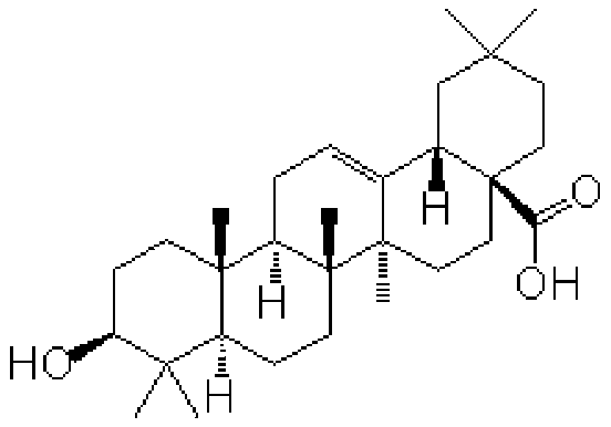 Extraction and purification method of triterpene acid in seabuckthorns, triterpene acid, triterpenoid saponin and application of triterpene acid and triterpenoid saponin