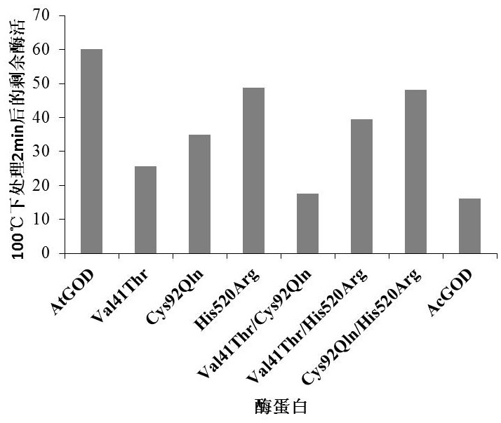 Super-heat-resistant glucose oxidase AtGOD as well as gene and application thereof