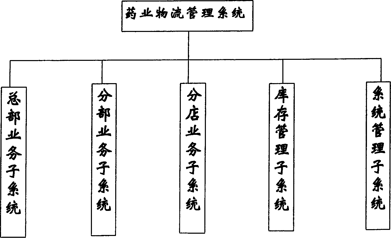 Large and medium medicnie chain circulation computer managing system and method