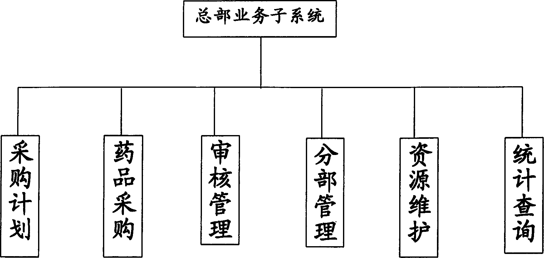 Large and medium medicnie chain circulation computer managing system and method