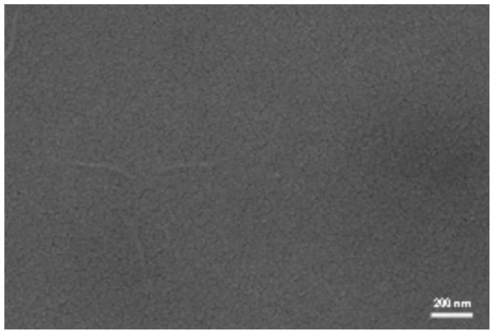 Preparation method of positively charged composite nanofiltration membrane