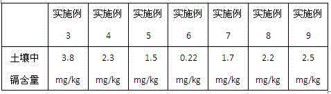 Method for planting suaeda salsa at medium-low-cadmium saline-alkaline land and for extracting plant salt