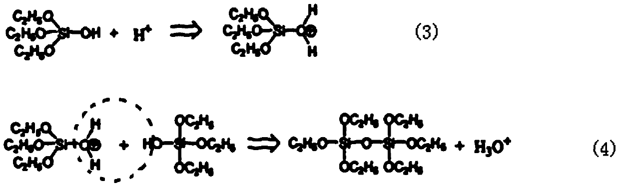 Plant self-cleaning and formaldehyde removing essence, preparation method and self-cleaning coating